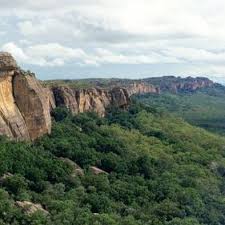 Billedresultat for kakadu n...