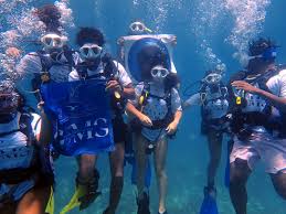 Image result for Seabug Divers
