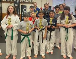 Image result for Everitt Karate Academy