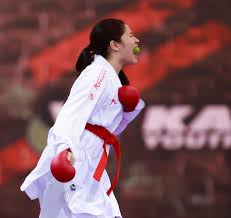 Image result for Guerrero Martial Arts