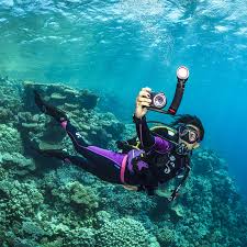 Image result for University Of London Sub-Aqua Club