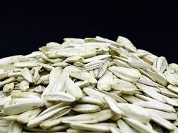 Attēlu rezultāti vaicājumam “Helianthus annuus fruit”