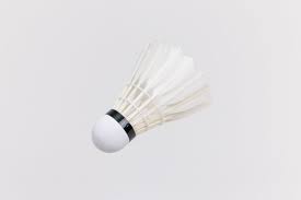 Image result for Feathers (New Milton) Badminton Club