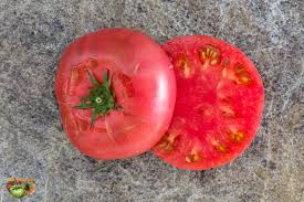 Afbeeldingsresultaat voor brandywine sudduth tomato