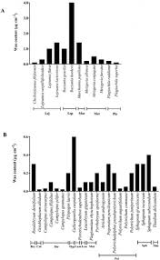 Attēlu rezultāti vaicājumam “Jungermannia sphaerocarpa sporophyte”