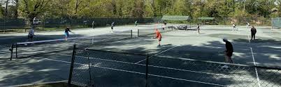 Image result for Mole Valley Mini Tennis Club