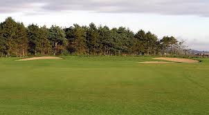 Image result for Carlow Golf Club