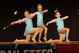 Image result for Swallows Baton Twirling Team