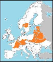 Attēlu rezultāti vaicājumam “Coenonympha hero underside”