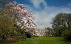 Image result for Tri-Cornwall