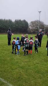 Image result for Swansea Uplands R.F.C.