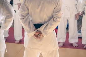 Image result for Tsunami Karate Club