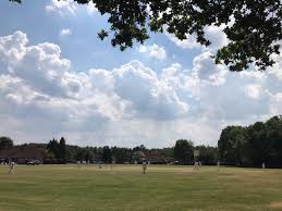 Image result for Penn Cricket Club
