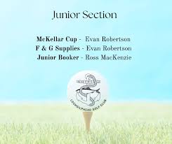 Image result for Lochgilphead Golf Club