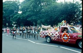 Image result for Wickford Majorettes