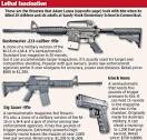 Mother shared her gun obsession with school shooter Adam Lanza ...