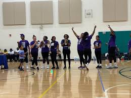 Image result for Onslow Pink Panthers Junior Netball Club