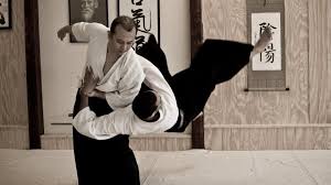 Image result for Moslin & Dewandre Aiki Dojo