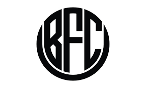 Image result for bfc