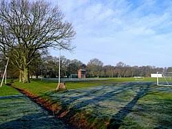 Image result for Bridport Cricket Club