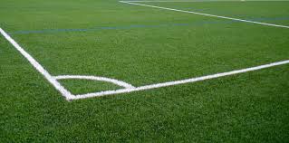 Image result for Astroturf
