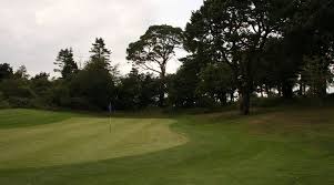 Image result for Carlow Golf Club