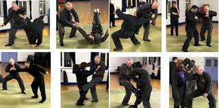 Image result for Peter Kings Dojo