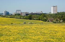 Image result for Basingstoke