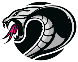 Image result for Cobham Sports Association Ltd