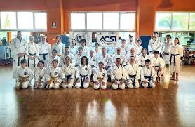 Image result for Independent Wadoryu Karate Federation