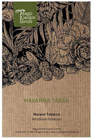 Attēlu rezultāti vaicājumam “Nicotiana tabacum”