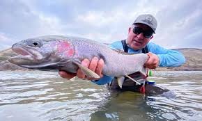 Image result for skiptondivers