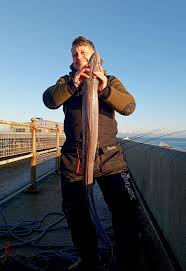 Image result for British Conger Club