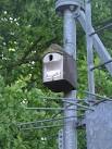 High-tech nest box at Cotes-de-Val, Lutterworth - via Daymix