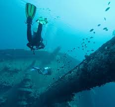 Image result for University Of London Sub-Aqua Club