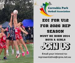 Image result for Hornets Netball Club
