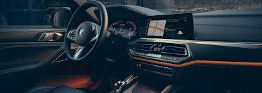 Image result for BMW X6