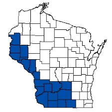 Image result for Ictiobus niger