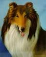 Collie Prints