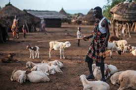 Image result for ‫بلاد م%‬‎