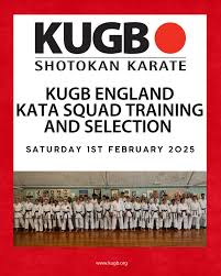 Image result for TIVERTON SHOTOKAN KARATE CLUB