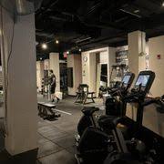 Image result for Lynx Gymnastics Club