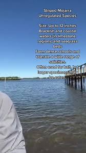 Image result for Eugerres plumieri