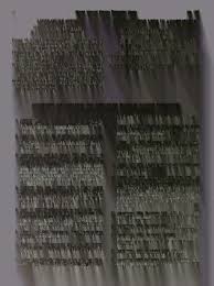 Attēlu rezultāti vaicājumam “Dicranum bergeri”