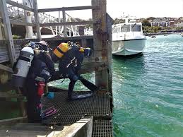 Image result for Calshot Sub-Aqua Club