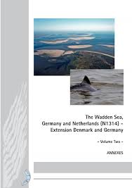 Attēlu rezultāti vaicājumam “Paramesus obtusifrons”