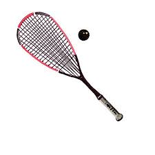 Image result for York Squash Rackets Club