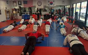 Image result for moray coast tang soo do