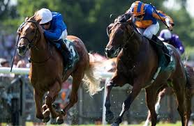 Image result for Acomb Sports Club