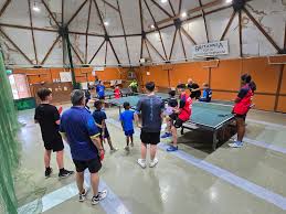 Image result for Britannia Table Tennis Club